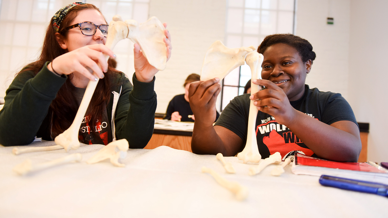 Students work on a project with bones during a paleontology class