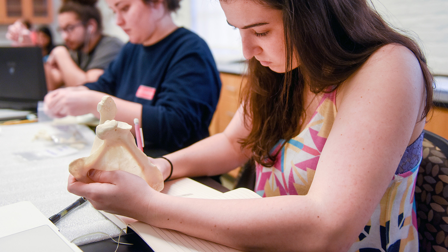 student examines bone in lab