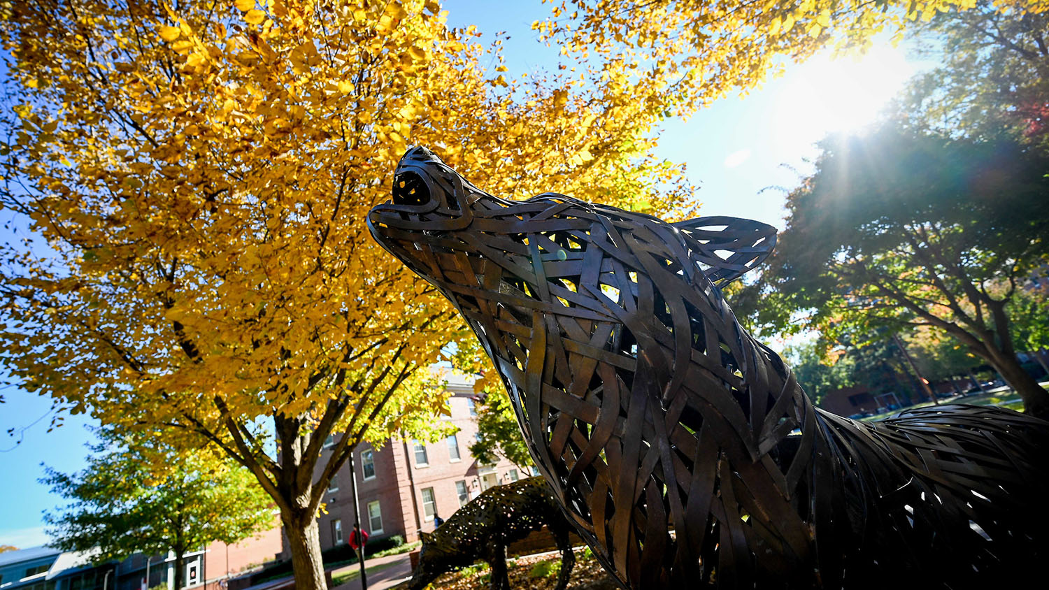 yellow leaves behind a copper wolf statue